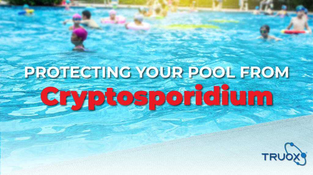 crypto bacteria in swimming pools